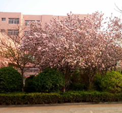 地稅宿舍這邊風(fēng)景獨(dú)好